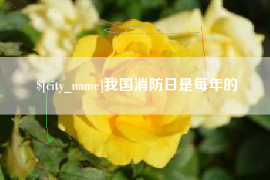 巴中我国消防日是每年的