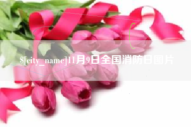 巴中11月9日全国消防日图片