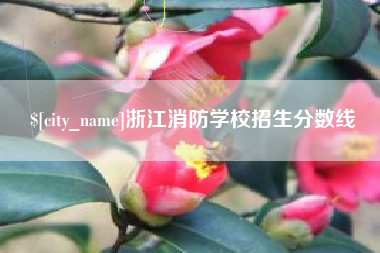 巴中浙江消防学校招生分数线