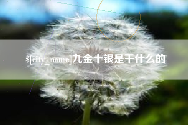 巴中九金十银是干什么的