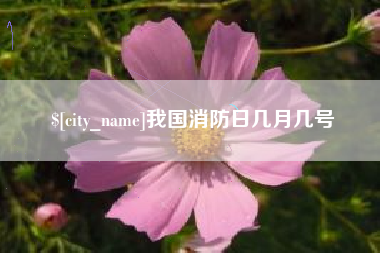巴中我国消防日几月几号