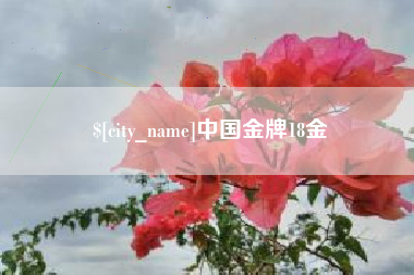 巴中中国金牌18金