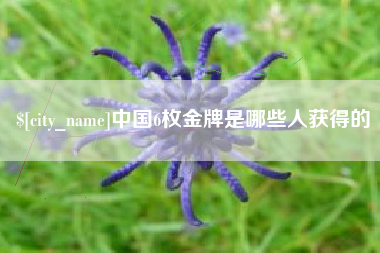 巴中中国6枚金牌是哪些人获得的