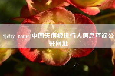 巴中中国失信被执行人信息查询公开网址