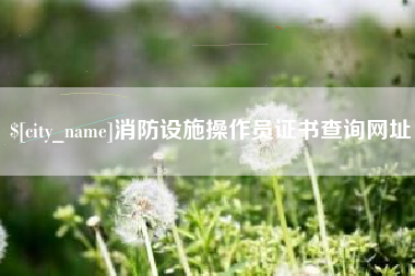 巴中消防设施操作员证书查询网址