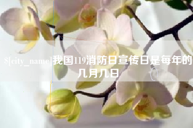 巴中我国119消防日宣传日是每年的几月几日