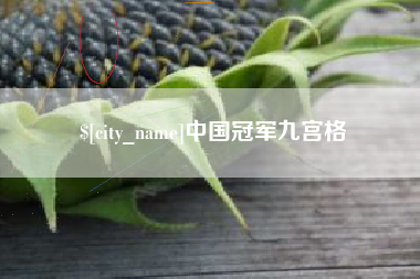 巴中中国冠军九宫格