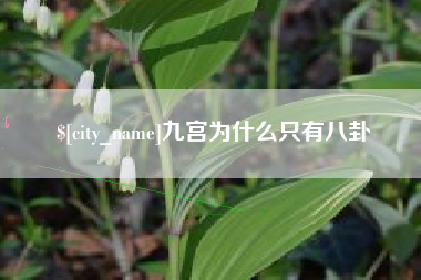 巴中九宫为什么只有八卦