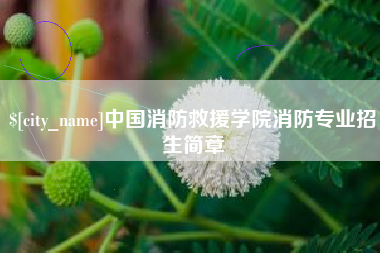 巴中中国消防救援学院消防专业招生简章