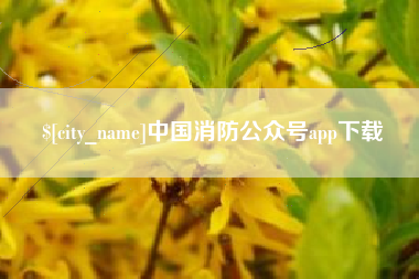 巴中中国消防公众号app下载