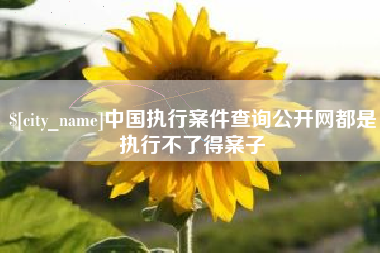 巴中中国执行案件查询公开网都是执行不了得案子