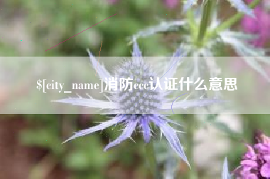巴中消防ccc认证什么意思