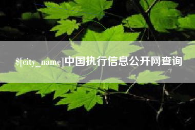 巴中中国执行信息公开网查询