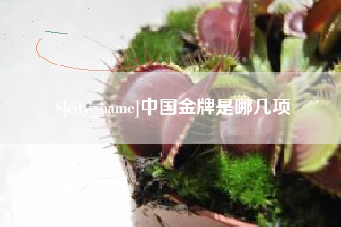 巴中中国金牌是哪几项