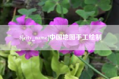 巴中中国地图手工绘制