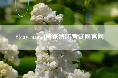 巴中国家消防考试网官网