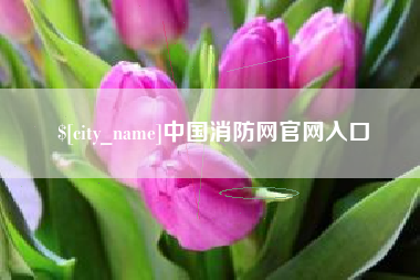 巴中中国消防网官网入口