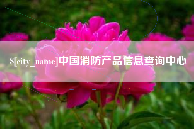 巴中中国消防产品信息查询中心