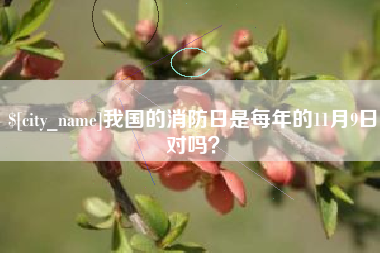 巴中我国的消防日是每年的11月9日对吗？