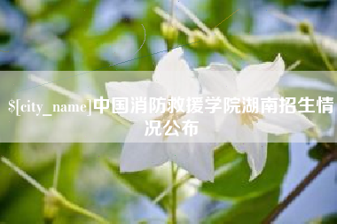 巴中中国消防救援学院湖南招生情况公布