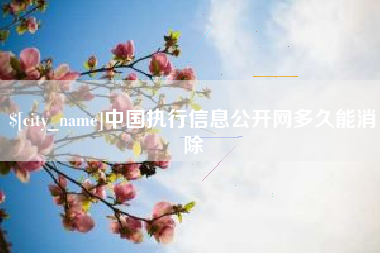 巴中中国执行信息公开网多久能消除