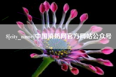 巴中中国消防网官方网站公众号