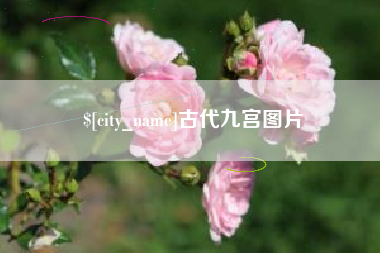 巴中古代九宫图片