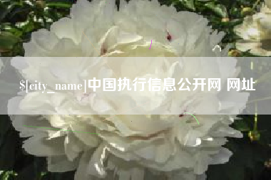 巴中中国执行信息公开网 网址