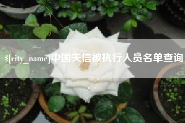巴中中国失信被执行人员名单查询