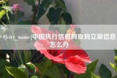 巴中中国执行信息网查到立案信息怎么办