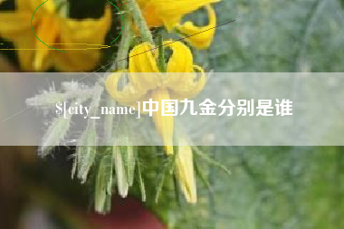 巴中中国九金分别是谁