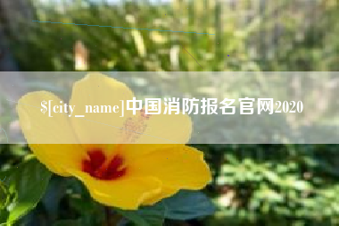 巴中中国消防报名官网2020