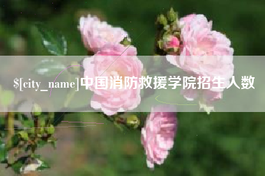 巴中中国消防救援学院招生人数
