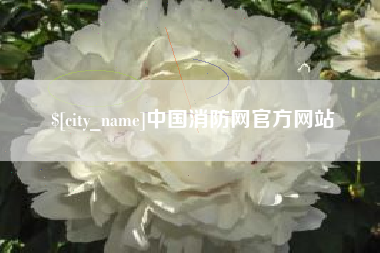 巴中中国消防网官方网站
