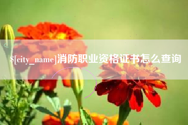 巴中消防职业资格证书怎么查询