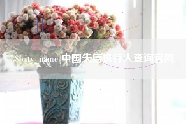 巴中中国失信执行人查询官网