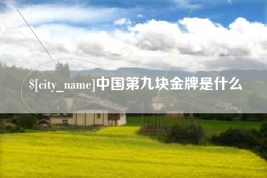 巴中中国第九块金牌是什么