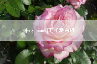 巴中王子豪百科