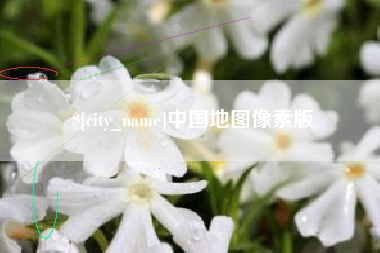 巴中中国地图像素版