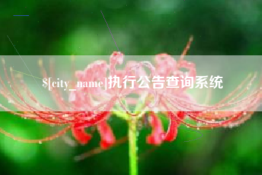 巴中执行公告查询系统