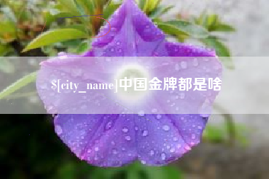 巴中中国金牌都是啥
