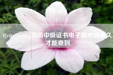 巴中消防中级证书电子版查询多久才能查到