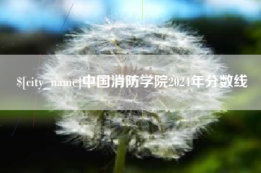 巴中中国消防学院2024年分数线