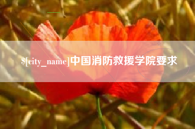 巴中中国消防救援学院要求