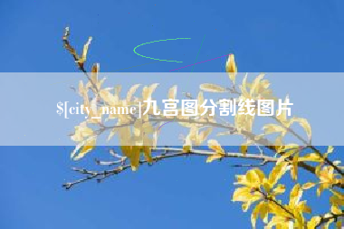 巴中九宫图分割线图片
