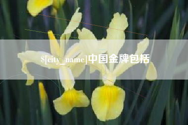 巴中中国金牌包括