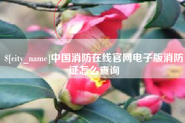 巴中中国消防在线官网电子版消防证怎么查询