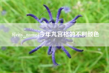 巴中今年九宫格的不利颜色