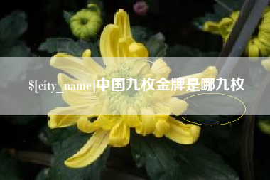 巴中中国九枚金牌是哪九枚