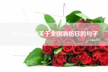巴中关于全国消防日的句子